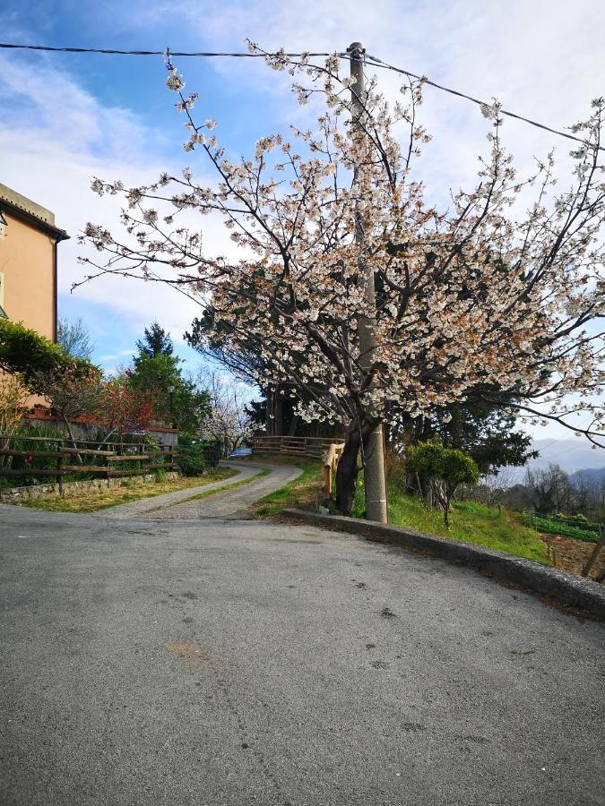 B&B Genova Country Fegino Ngoại thất bức ảnh